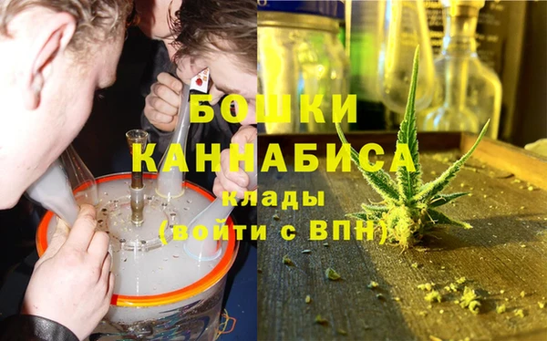 прущие грибы Бронницы