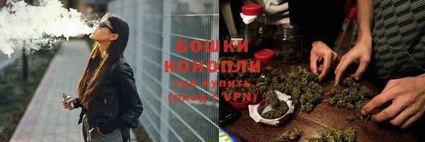 прущие грибы Бронницы