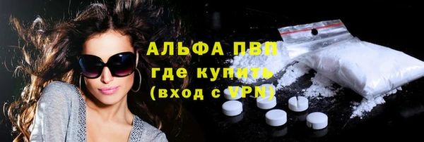 прущие грибы Бронницы