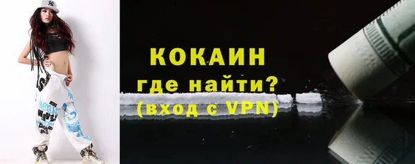 прущие грибы Бронницы