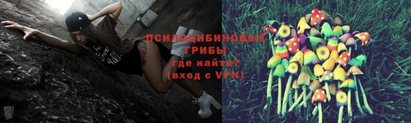 мдпв Богородицк